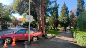 Yağmur yağdı, ağaçtan buhar çıktı Yağmur yağdı, ağaçtan buhar çıktı