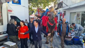 Bodrum Mandalina Festivali buruk geçti