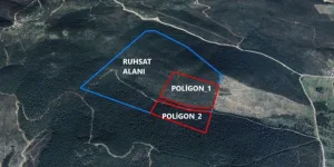 Bodrum'da Orman Alanına Taş Ocağı Projesi