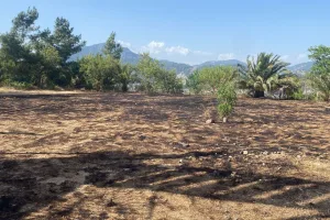 Otluk alandaki yangın ormana sıçramadan söndürüldü