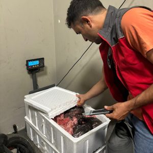 Menteşe Otogarı’nda 45 kilo menşei belirsiz et ürünü ele geçirdi Menteşe Otogarı’nda 45 kilo menşei belirsiz et ürünü ele geçirdi