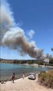 Milas’ta orman yangını Milas’ta orman yangını