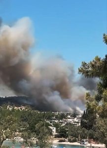 Milas’ta orman yangını Milas’ta orman yangını