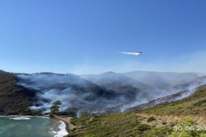 Marmaris Bördübet yangınında üç kişi gözaltına alındı