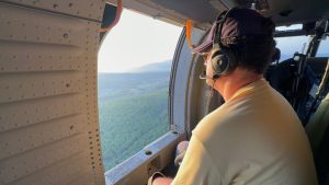 Bodrum'da orman yangını 18 saat sonra kontrol altına alındı Bodrum'da orman yangını 18 saat sonra kontrol altına alındı