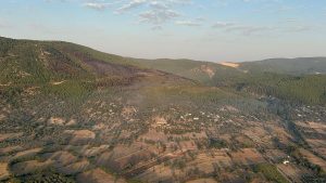 Bodrum'da orman yangını 18 saat sonra kontrol altına alındı Bodrum'da orman yangını 18 saat sonra kontrol altına alındı