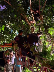 Dalaman’da kaza: Motosikletten ağaca fırladı! Dalaman’da kaza: Motosikletten ağaca fırladı!