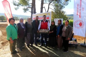 Coğrafi işaretli Ula sarımsağında imece usulü üretim Coğrafi işaretli Ula sarımsağında imece usulü üretim