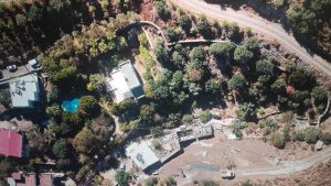 Suavi'nin Bodrum'daki arazisinde 40 ağaç kesildi: İnceleme başlatıldı