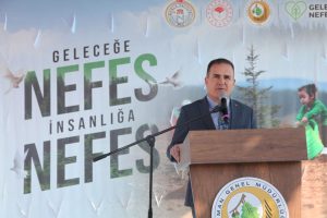 Muğla’nın yeşil alanlarına 20 bin yeni fidan kazandırıldı