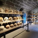 Bodrum Sualtı Arkeoloji Müzesi “Yılın Müzesi” ödülüne aday gösterildi Bodrum Sualtı Arkeoloji Müzesi “Yılın Müzesi” ödülüne aday gösterildi