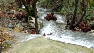 Muğla'da yağışlar Ula Göleti'ni canlandırdı Muğla'da yağışlar Ula Göleti'ni canlandırdı