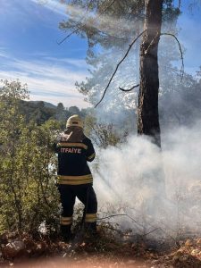 Muğla’da 2025 yılının ilk orman yangını