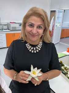 Köyceğiz Gölü'nün 'beyaz nilüfer'i dünyaya açılıyor