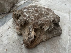 Milas'ta yıkılan binanın molozları arasından tarihi eserler çıktı Milas'ta yıkılan binanın molozları arasından tarihi eserler çıktı