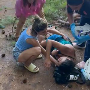 Orman kampındaki yaşlı, tehlike ve risk oluşturan ağaçlar kesiliyor