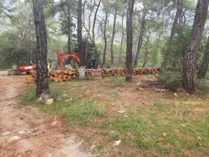 Akyaka Orman Kampı’nda ekolojik tahribat iddiası Akyaka Orman Kampı’nda ekolojik tahribat iddiası