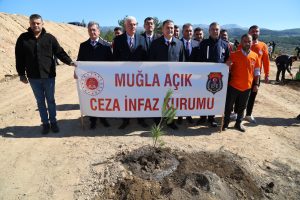 Muğla ve Aydın'da 20 bin fidan toprakla buluşturuldu