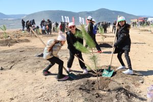 Muğla ve Aydın'da 20 bin fidan toprakla buluşturuldu