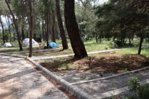 Akyaka Orman Kampı’ndaki çalışmalara tepkiler sürüyor: “Sözleşmenin iptalini istiyoruz”