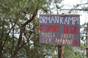 Akyaka Orman Kampı’ndaki çalışmalara tepkiler sürüyor: “Sözleşmenin iptalini istiyoruz”