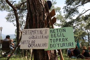Akyaka Orman Kampı’ndaki çalışmalara tepkiler sürüyor: “Sözleşmenin iptalini istiyoruz”