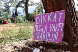 Akyaka Orman Kampı’ndaki çalışmalara tepkiler sürüyor: “Sözleşmenin iptalini istiyoruz”