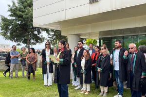 Muğla Barosu Hayvan Hakları Komisyonu’ndan Anayasa Mahkemesi’ne: "Katliam yasasını iptal edin"