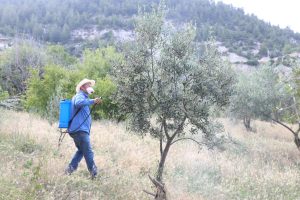 Büyükşehir’den Esençay’da dolu yağışından etkilenen çiftçiye gübre desteği Büyükşehir’den Esençay’da dolu yağışından etkilenen çiftçiye gübre desteği