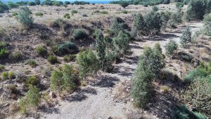 Muğla'da vahşi depolama alanları doğaya kazandırıldı