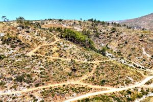 Çökertme'de küle dönen ormanlar 5 yılda yeniden hayat buldu Çökertme'de küle dönen ormanlar 5 yılda yeniden hayat buldu
