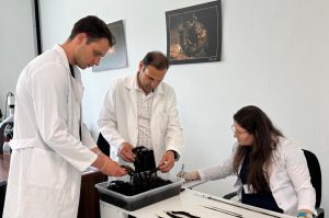 Göcek'te 2 bin yaşında deniz çayırı keşfedildi