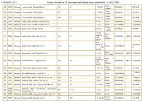Menteşe Belediyesi taşınmazlarını kiralıyor