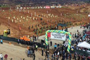 Muğla’da 33 bin fidan toprak ile buluştu Muğla’da 33 bin fidan toprak ile buluştu