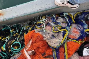 Yasak ağ ile avlanan balıklara el konuldu