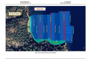 Kille Koyu’nda özel çevre koruma alanına yat iskelesi planı