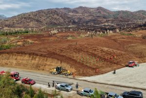 11 Kasım’da yeşil vatan seferberliği: Muğla ve Aydın’da on binlerce fidan dikilecek