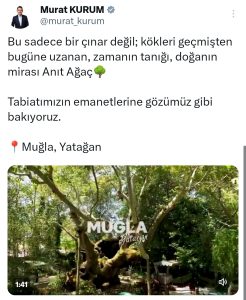 Bakan Kurum, Muğla’daki 854 yıllık çınarın hikayesini paylaştı Bakan Kurum, Muğla’daki 854 yıllık çınarın hikayesini paylaştı