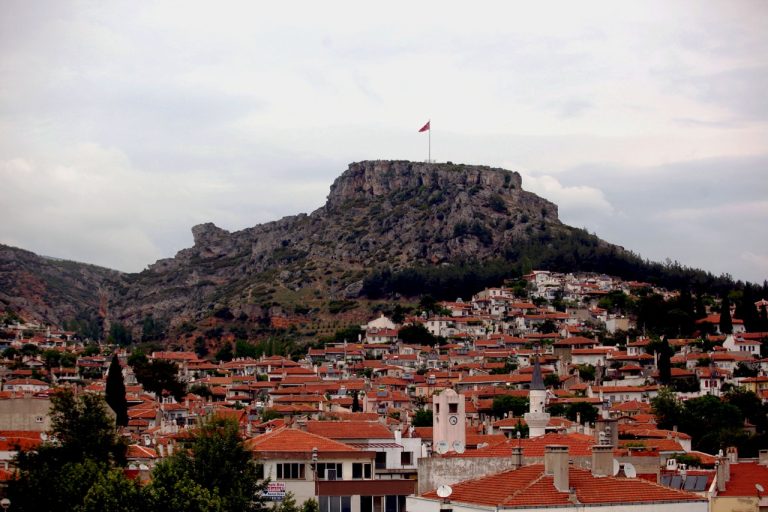 Anasayfa