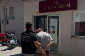 Datça’da 200 kök Hint keneviri ele geçirildi