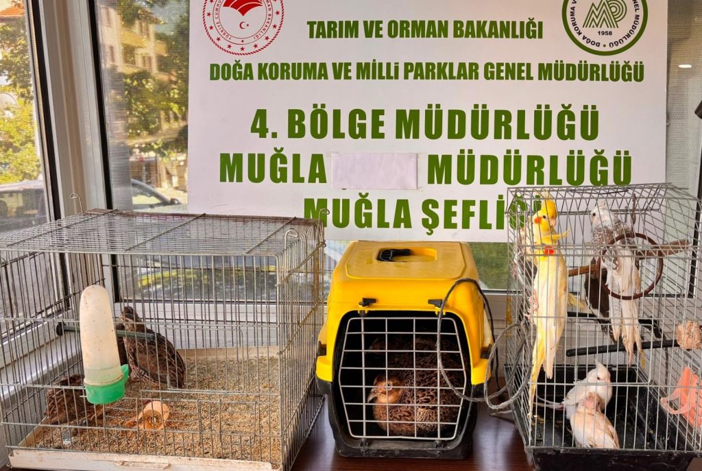 Muğla