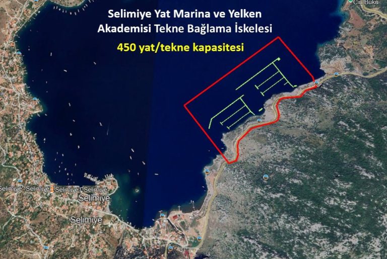 Anasayfa