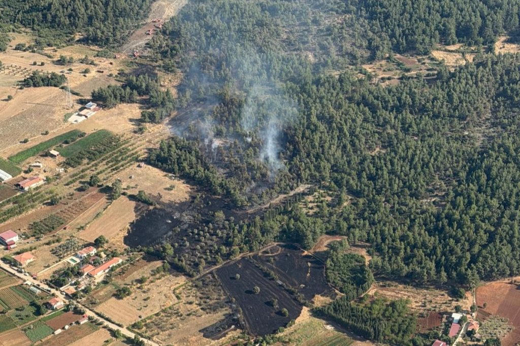 Muğla
