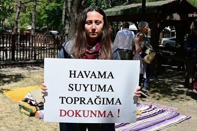 Anasayfa Anasayfa