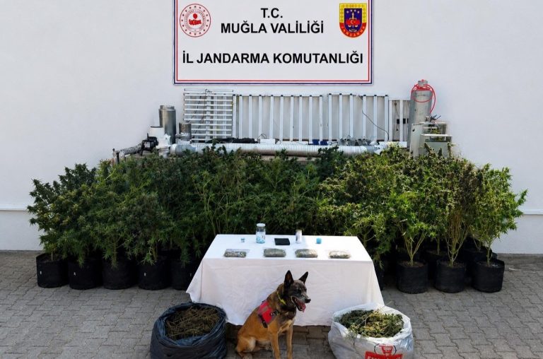Anasayfa Anasayfa