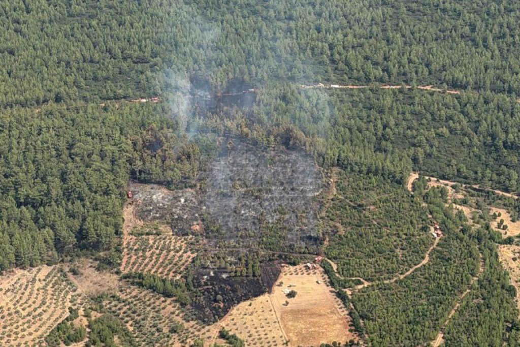 Muğla