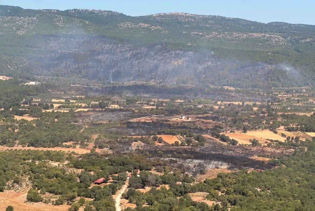 Muğla Muğla