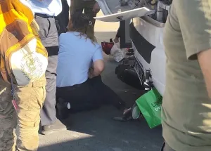 Menteşe'de MUTTAŞ otobüsü ile elektrikli bisiklet çarpıştı: 1 yaralı Menteşe'de MUTTAŞ otobüsü ile elektrikli bisiklet çarpıştı: 1 yaralı