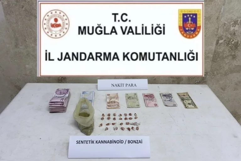 Anasayfa Anasayfa