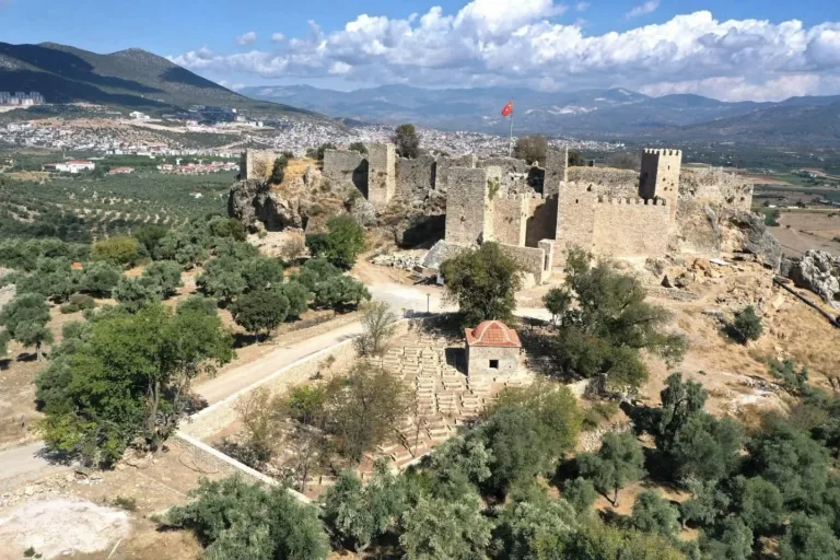 Anasayfa